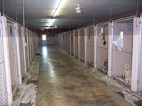 Kennel Inside - Click to Enlarge, close window when done