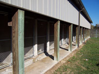 Kennels from Outside - Click to Enlarge, close window when done