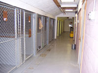 Kennels Inside View - Click to Enlarge, close window when done
