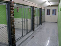 New Kennel - Click to Enlarge, close window when done