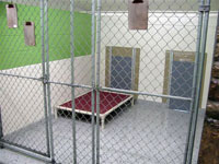 New Kennel - Click to Enlarge, close window when done